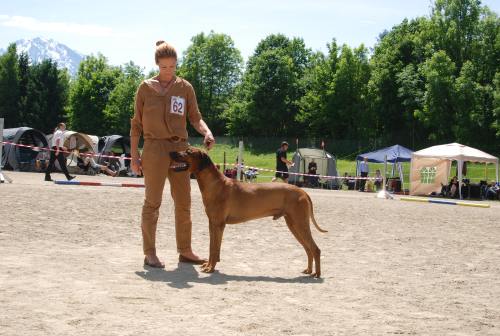25_Clubsiegershow_Oberalm_20120519