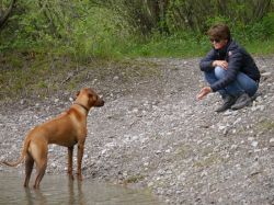 makakadi_nachwuchstreffen_feldkirch_2015_P1030735