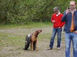 makakadi_nachwuchstreffen_feldkirch_2015_P1030782