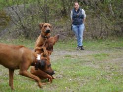 makakadi_nachwuchstreffen_feldkirch_2015_P1030821