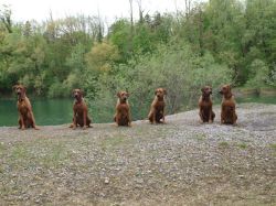 makakadi_nachwuchstreffen_feldkirch_2015_P5029324