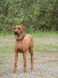 makakadi_nachwuchstreffen_feldkirch_2015_P5029365