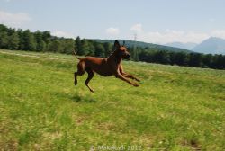 20100627_Lisimba_Adongo_0118