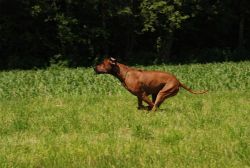 20100627_Lisimba_Adongo_0145