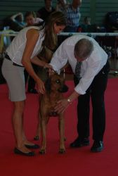 20100822_Lisimba_Adongo_0020