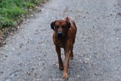 20101030_Lisimba_Adongo_0044