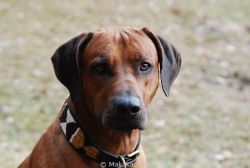 20101106_Lisimba_Adongo_0001