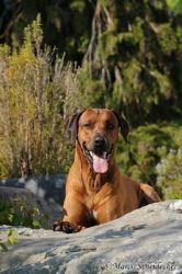 20110415_shakawe_lisimba_adongo_makakadi__achammer_11