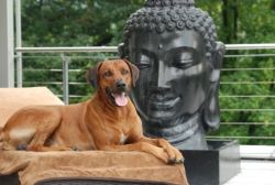 20110415_shakawe_lisimba_adongo_makakadi__achammer_17