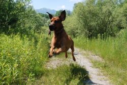 20110415_shakawe_lisimba_adongo_makakadi__achammer_2