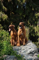 20110417_Lisimba_Adongo-0105