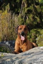 20110417_Lisimba_Adongo_0155