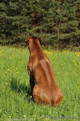 20110417_Lisimba_Adongo_0354