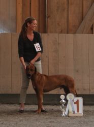 20110511_walchsee_adongo_bester_ruede_aus_AT_zucht_gross