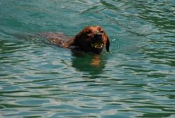 20110705_shakawe_lisimba_adongo_makakadi__achammer_31