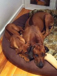 20110131_Makakadi_0186