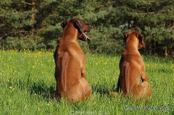 20110417_Makakadi_C2011-04-17-0385