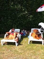 20110818_Makakadi_0457