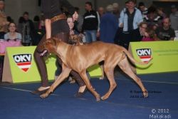 20120228_Macuma_IHA_Graz