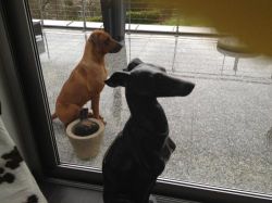 20120420_macuma_als_schwester_der_statue